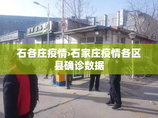 石各庄疫情›石家庄疫情各区县确诊数据