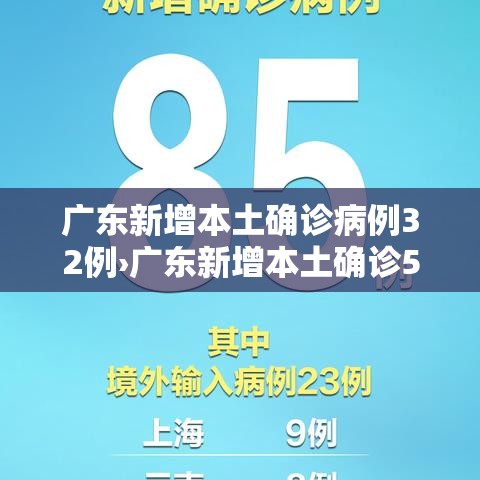 广东新增本土确诊病例32例›广东新增本土确诊5例具体情况