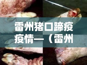 雷州猪口蹄疫疫情—（雷州猪口蹄疫疫情最新消息）