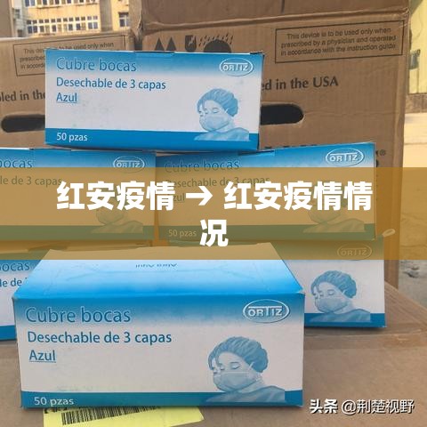红安疫情 → 红安疫情情况