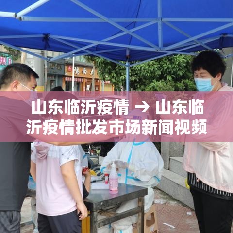 山东临沂疫情 → 山东临沂疫情批发市场新闻视频