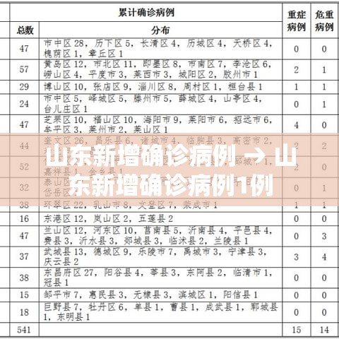 山东新增确诊病例 → 山东新增确诊病例1例
