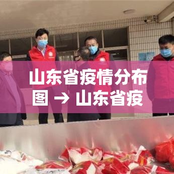 山东省疫情分布图 → 山东省疫情图表