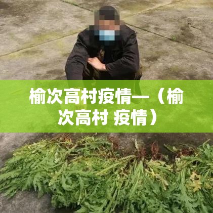 榆次高村疫情—(榆次高村 疫情)