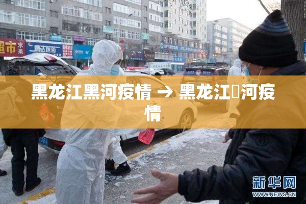 黑龙江黑河疫情 → 黑龙江黒河疫情