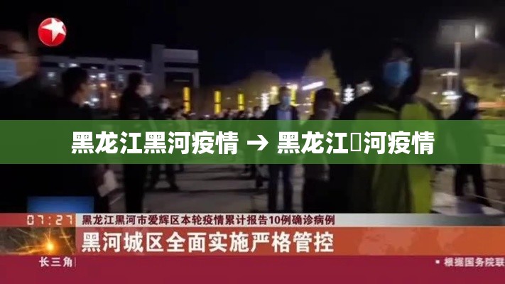 黑龙江黑河疫情 → 黑龙江黒河疫情