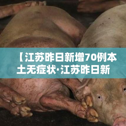【江苏昨日新增70例本土无症状·江苏昨日新增本土确诊47例】