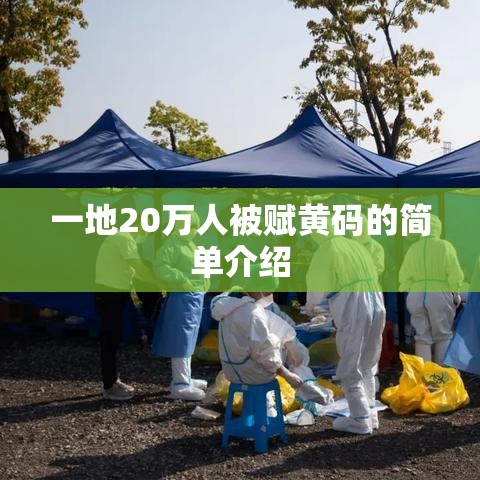 一地20万人被赋黄码的简单介绍