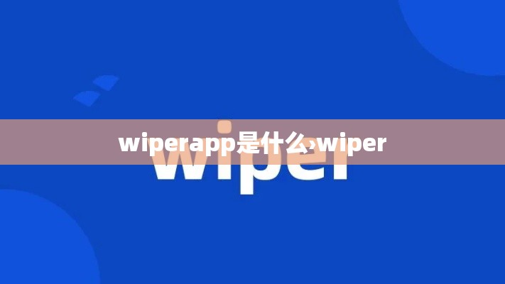 wiperapp是什么›wiper