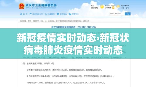 新冠疫情实时动态›新冠状病毒肺炎疫情实时动态