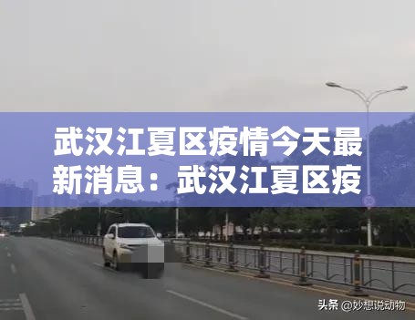 武汉江夏区疫情今天最新消息：武汉江夏区疫情报告