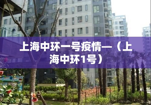 上海中环一号疫情—（上海中环1号）
