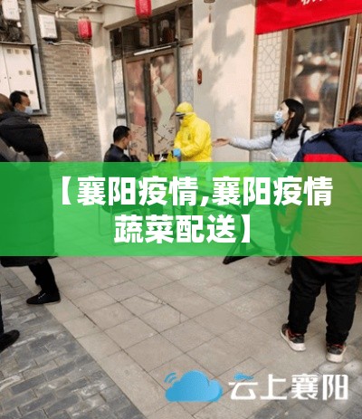 【襄阳疫情,襄阳疫情蔬菜配送】
