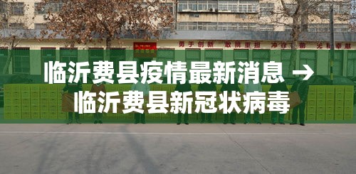 临沂费县疫情最新消息 → 临沂费县新冠状病毒