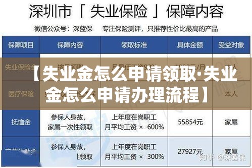 【失业金怎么申请领取·失业金怎么申请办理流程】