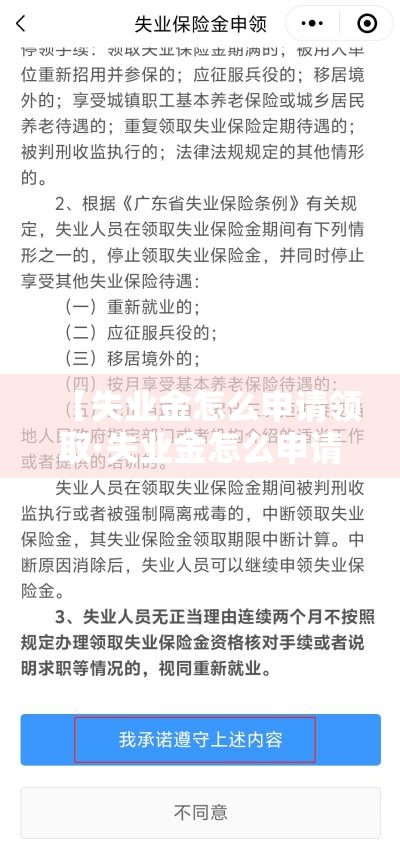 【失业金怎么申请领取·失业金怎么申请办理流程】