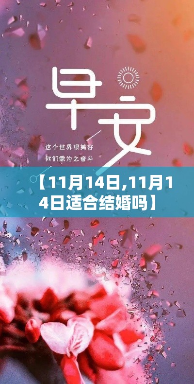 【11月14日,11月14日适合结婚吗】