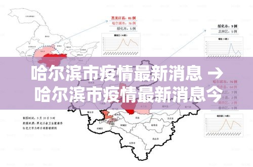 哈尔滨市疫情最新消息 → 哈尔滨市疫情最新消息今天