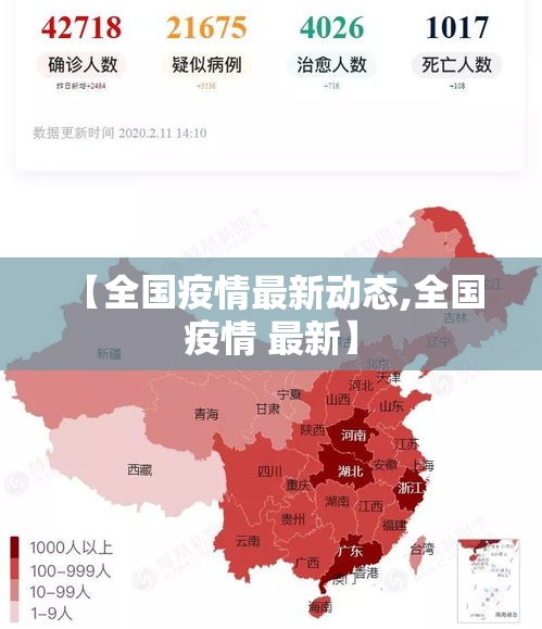 【全国疫情最新动态,全国 疫情 最新】