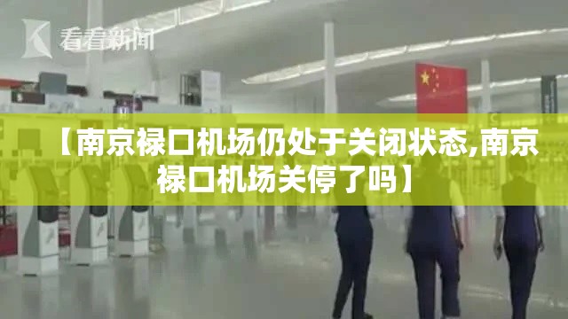 【南京禄口机场仍处于关闭状态,南京禄口机场关停了吗】