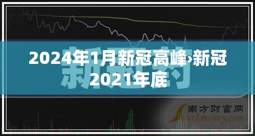 2024年1月新冠高峰›新冠2021年底