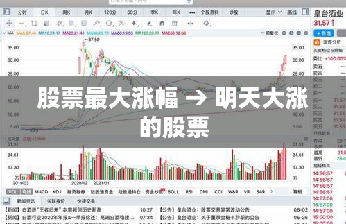 股票最大涨幅 → 明天大涨的股票