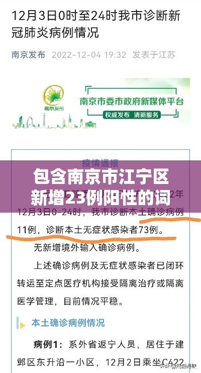包含南京市江宁区新增23例阳性的词条