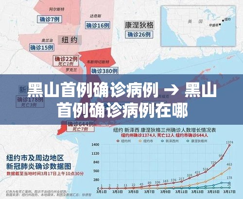 黑山首例确诊病例 → 黑山首例确诊病例在哪
