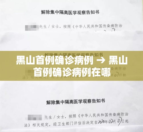 黑山首例确诊病例 → 黑山首例确诊病例在哪