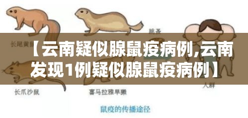 【云南疑似腺鼠疫病例,云南发现1例疑似腺鼠疫病例】