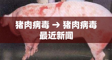 猪肉病毒 → 猪肉病毒最近新闻