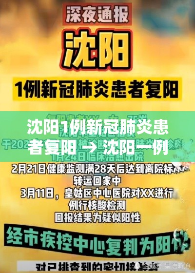 沈阳1例新冠肺炎患者复阳 → 沈阳一例新型冠状病毒复阳