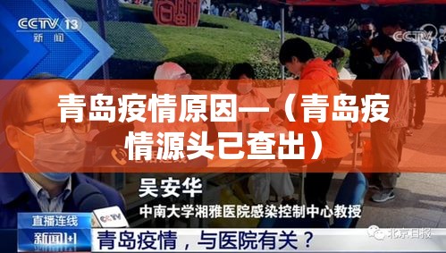 青岛疫情原因—（青岛疫情源头已查出）