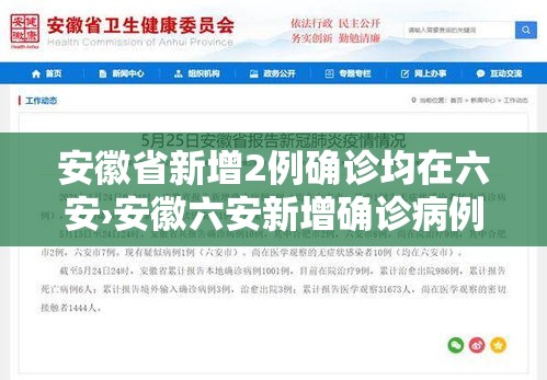 安徽省新增2例确诊均在六安›安徽六安新增确诊病例