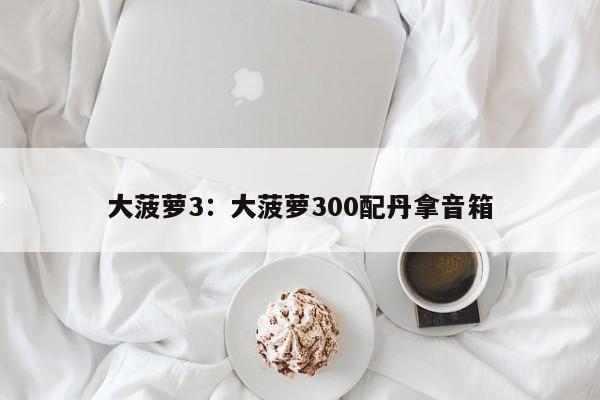 大菠萝3：大菠萝300配丹拿音箱
