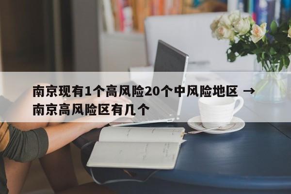 南京现有1个高风险20个中风险地区 → 南京高风险区有几个