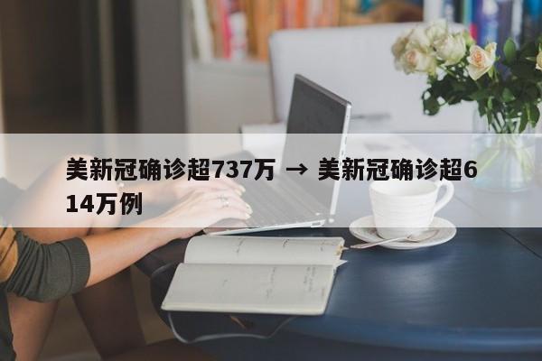 美新冠确诊超737万 → 美新冠确诊超614万例
