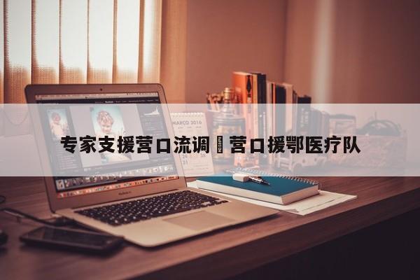 专家支援营口流调›营口援鄂医疗队