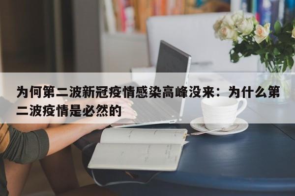 为何第二波新冠疫情感染高峰没来:为什么第二波疫情是必然的