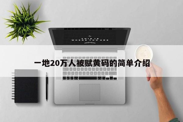 一地20万人被赋黄码的简单介绍