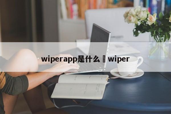 wiperapp是什么›wiper