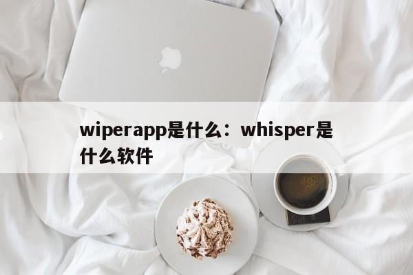 wiperapp是什么：whisper是什么软件