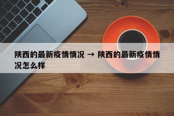 陕西的最新疫情情况 → 陕西的最新疫情情况怎么样